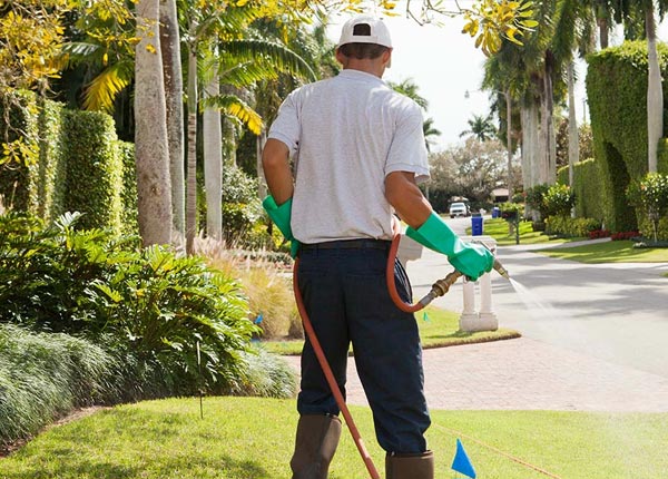 About Redway CA Pest Control